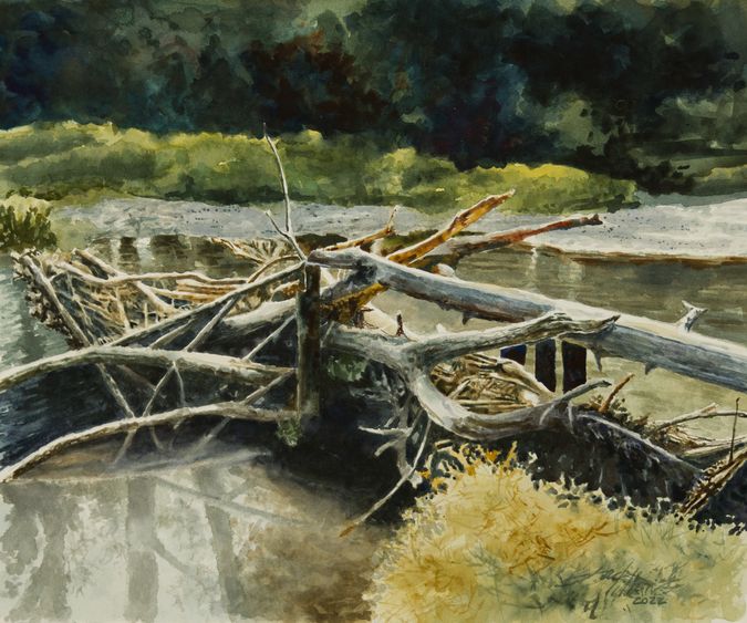 Log jam in river